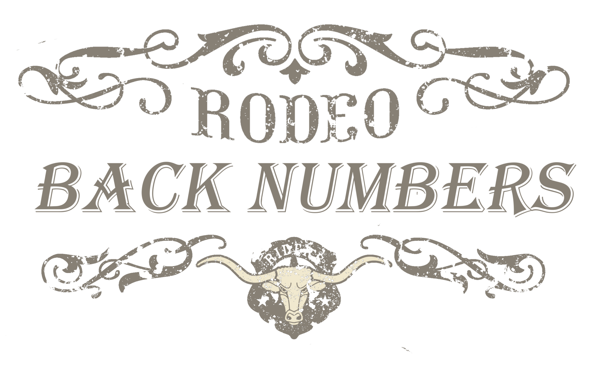 Printable Rodeo Back Number Template Printable Word Searches